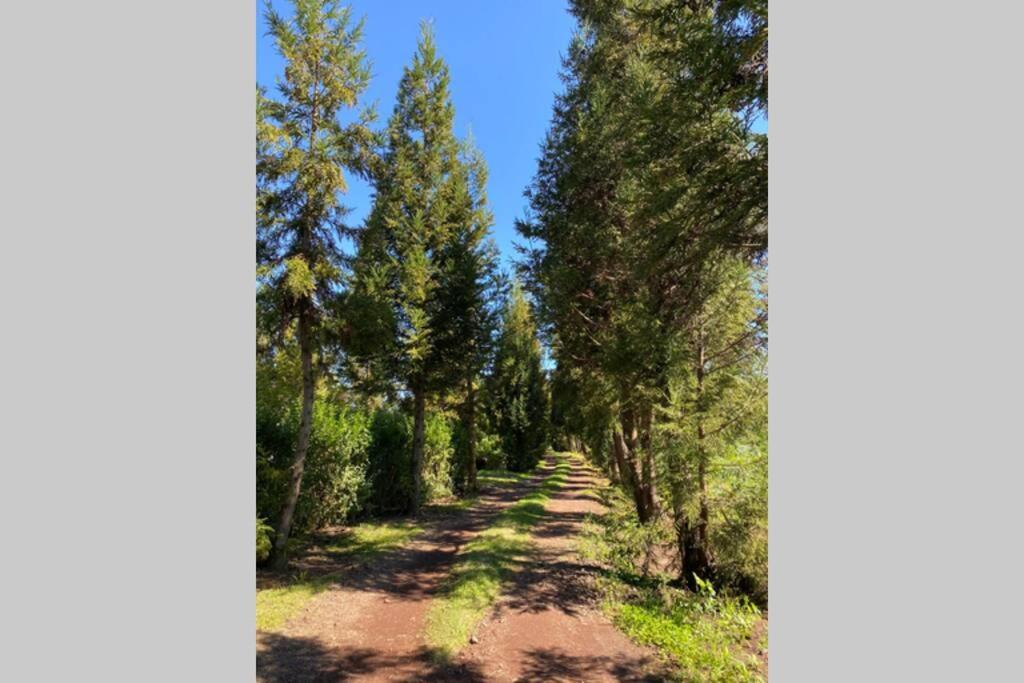 Agreable Chalet Au Milieu Des Sapins Plaine des Cafres Bagian luar foto