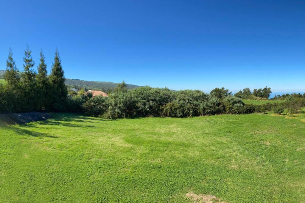 Agreable Chalet Au Milieu Des Sapins Plaine des Cafres Bagian luar foto